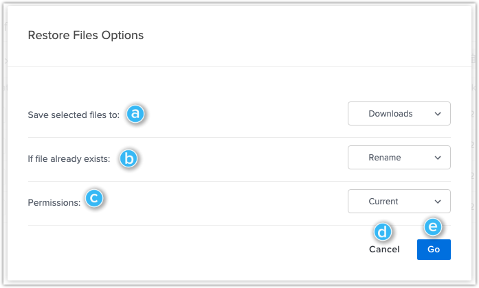 restore files options reference.png